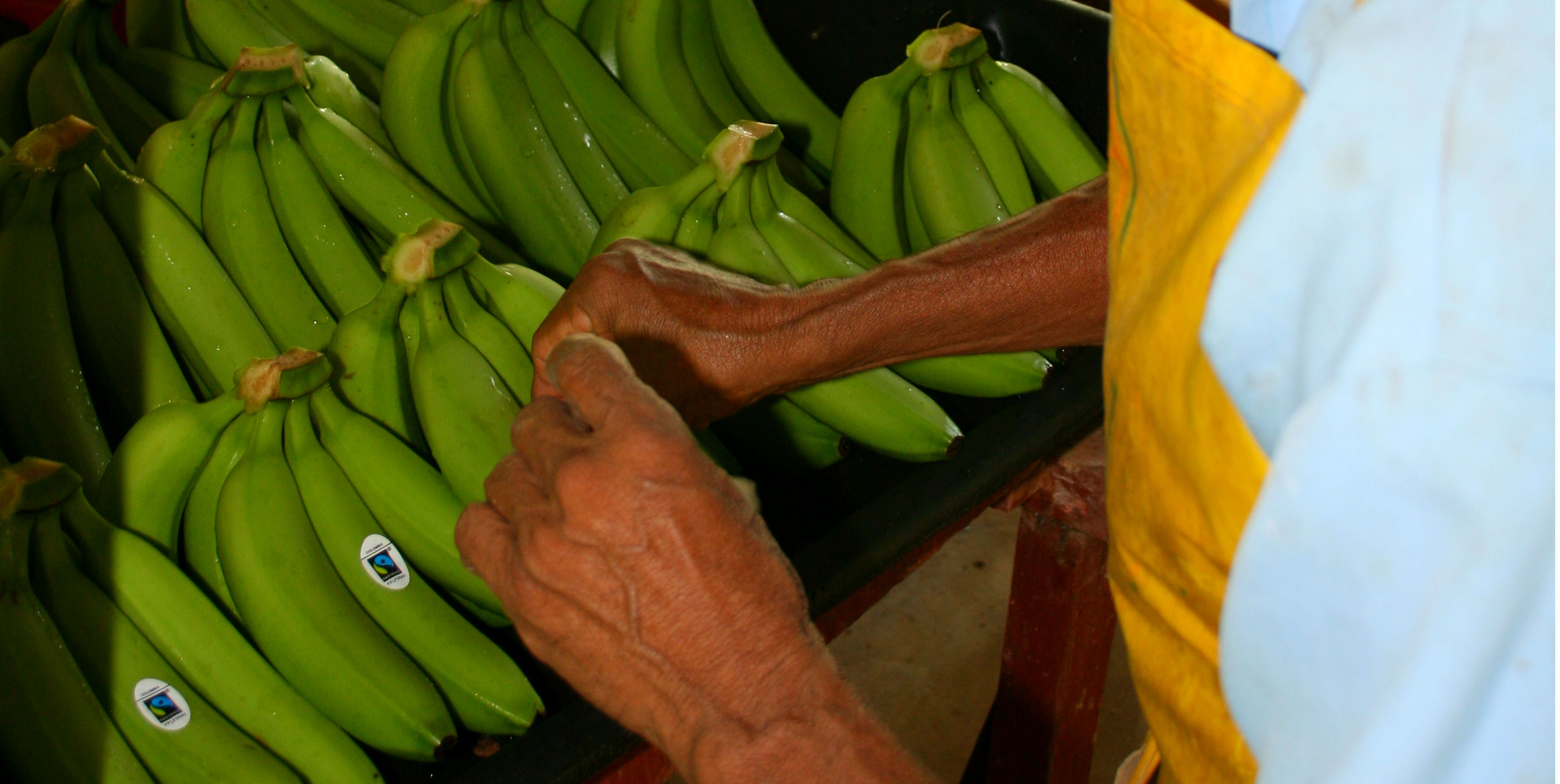 Fairtrade bananen